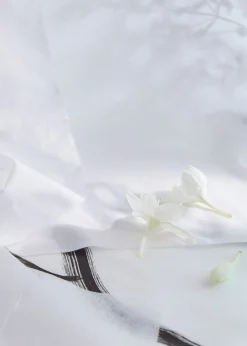 Cotton Eau De Toilette