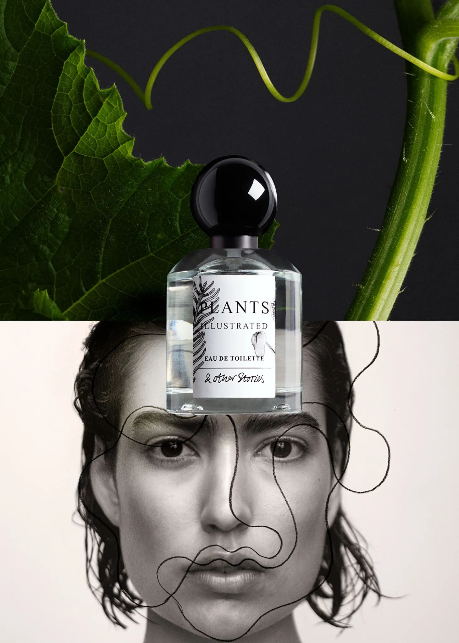 Eau De Toilette