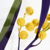 Mimosa Flower Body Mist